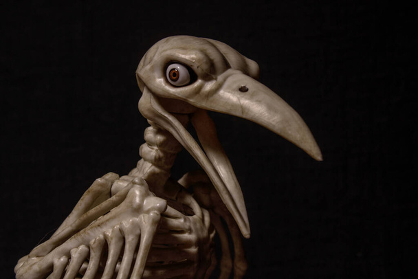 esqueleto de un cuervo con ojos humanos sobre un fondo negro
 - Foto, Imagen