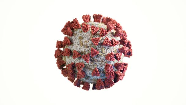Coronavirus COVID-19 aislado sobre fondo blanco 3d ilustración
 - Foto, Imagen