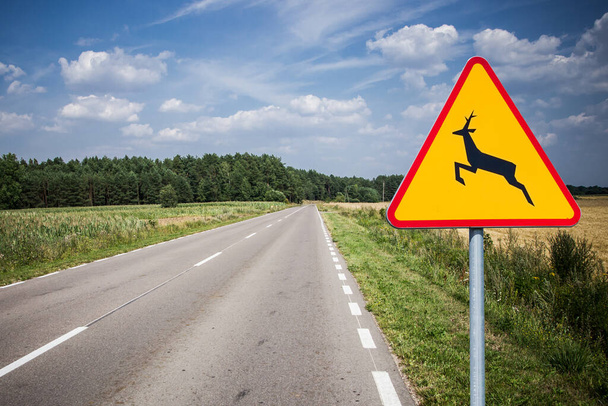 Le panneau d'avertissement de passage à niveau des cerfs. Un accident dangereux peut se produire même sur une route vide. Faites attention aux animaux sur la route asphaltée. - Photo, image