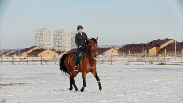 Jazda konna - kobieta w czarnych ubraniach galopująca na koniu na polu śnieżnym - Materiał filmowy, wideo