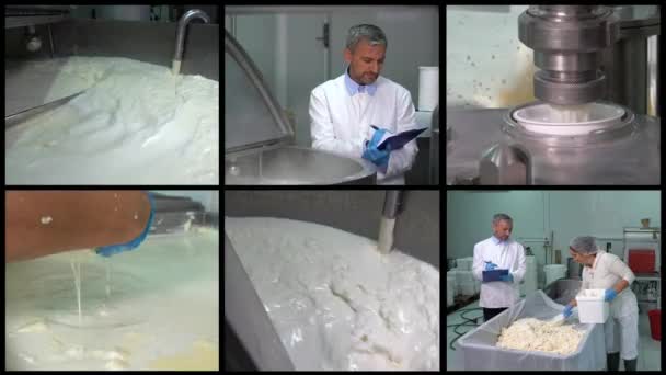 Production of Milk and Milk Products - Dairy Factory - Multi Screen Video. Milk Pasteurization in Dairy Processing Plant. Dairy Products Manufacturing Plant. Man and Woman Working in Cheese Factory. Worker Skimming The Cream Off Milk. - Footage, Video