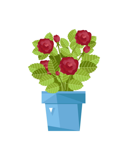 Spring flower in pot isolated icon. Plants indoor room, houseplant, floral interior decoration design element vector illustration. - Vector, Image