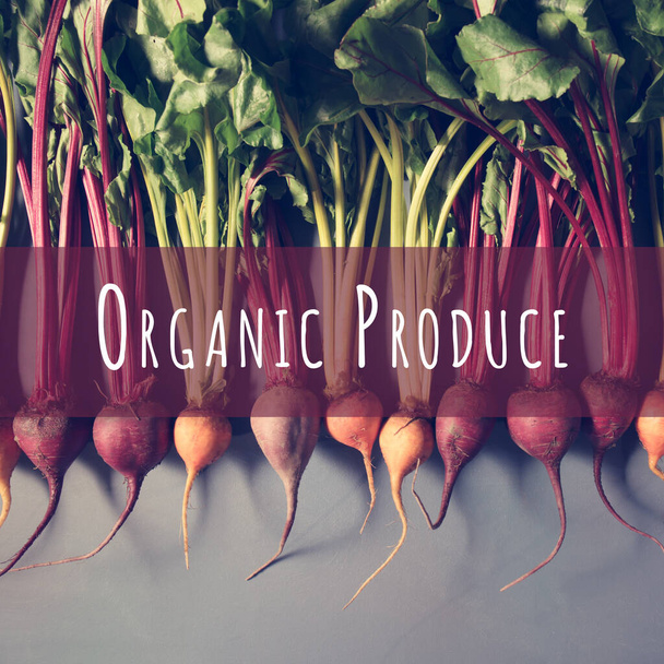 Směs červené a zlaté řepy na šedém pozadí s textem Organic Produce. Pozadí jídla. Koncept zdravého stravování - Fotografie, Obrázek