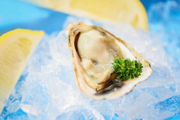 Open oyster shell with herb spices lemon parsley / Fresh oysters seafood on ice background - Foto, immagini