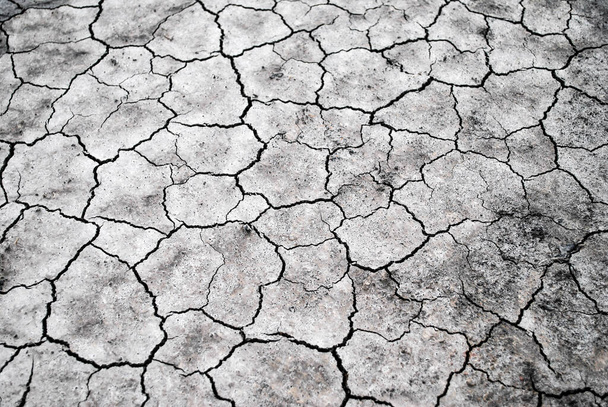 Textura agrietada suelo seco
 - Foto, Imagen