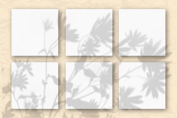 6 arkuszy białego papieru teksturowanego na ścianie w kolorze piasku. Makieta pokrywa się cieniami roślin. Naturalne światło rzuca cienie z kwiatów i liści stokrotek. Płaskie ułożenie, widok z góry. - Zdjęcie, obraz
