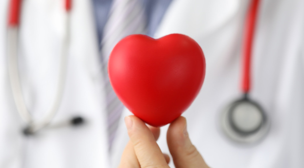 El médico sostiene el corazón simulado con punto negro, marcapasos
 - Foto, Imagen
