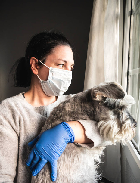 Beteg nő maszkkal és orvosi kesztyűvel megölel egy kutyát, miközben kinézel az ablakon, valószínűleg megfertőzve koronavírussal és elszigetelten. - Fotó, kép
