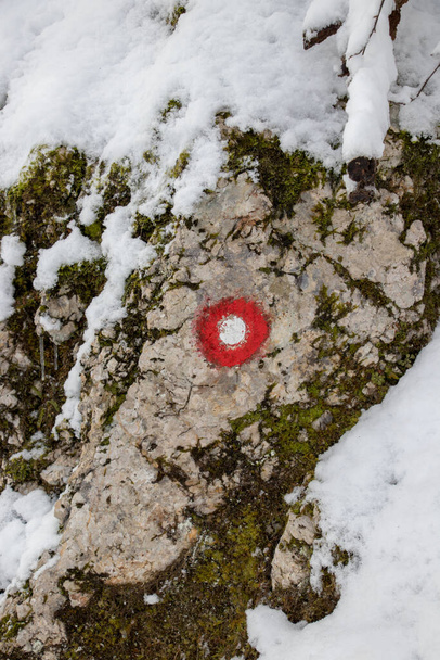Yksi punainen leimahtaa kallioon, lumen peitossa
 - Valokuva, kuva