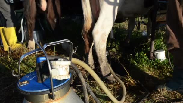 Melkmaschine pumpt Milch - Filmmaterial, Video