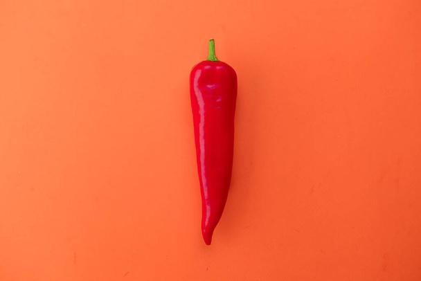 Flat lay view of hot red chili peppers. Food background. Copy space. Bright red orange background. Design banner. - 写真・画像