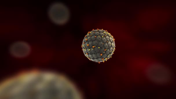 Hantavirus medizinische Animation Zellvirus Ausbruch medizinische Animation. Orthohantavirus gefährlicher Rattenalarm - Filmmaterial, Video