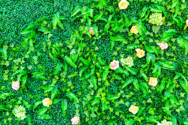 Flowers plant wall in China, Asia - Photo, Image