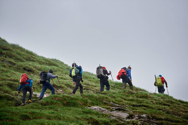 Male travelers with backpacks walking on grassy hill. Group of active people with trekking sticks climbing mountain. Concept of hiking, travelling and backpacking. - Photo, Image