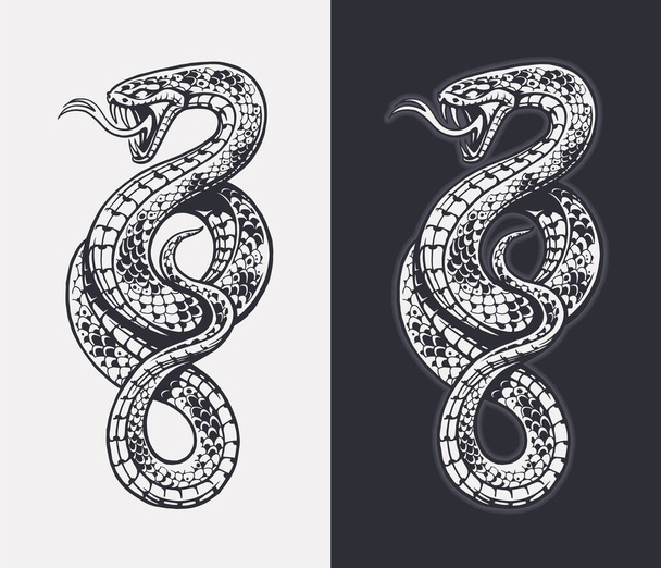 Handgetekende slang geïsoleerd op witte en donkere achtergrond. Gedetailleerde graveervector kunst van de slang. Monochrome illustratie. - Vector, afbeelding