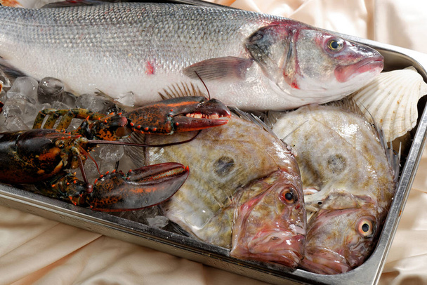 Pesca fresca di aragosta, pesce e altri frutti di mare in un ristorante gourmet
 - Foto, immagini