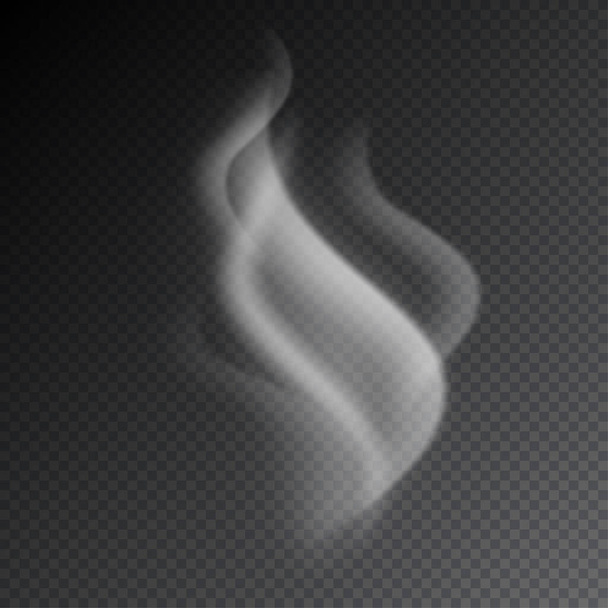 煙現実的な孤立ベクトル図上の透明背景 - ベクター画像