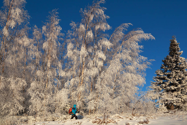  un homme avec sac à dos dans la forêt de montagne en hiver
 - Photo, image