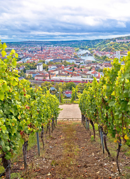 Old town of Wurzburg view from the vineyard hill, Bavaria region of Germany - 写真・画像