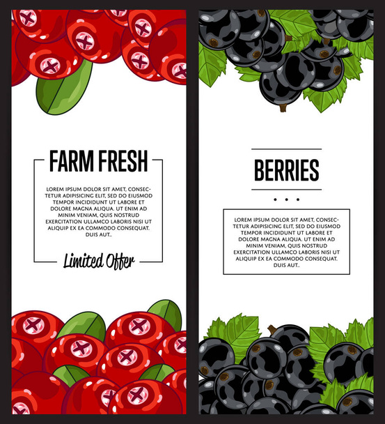 Organic farm flyer with cranberry and black currant vector illustration. Natural fruit poster, organic farming and vegan food retail banner. Fresh berry fruit advertising promo with space for text - Vettoriali, immagini
