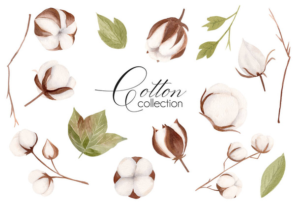 Watercolor hand drawn floral collection with white cotton flower, green leaves and brown branches. - Photo, Image