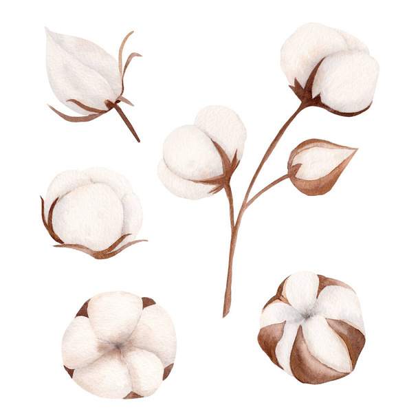 Ręcznie rysowane akwarelowe kwiaty zestawu bawełnianego. - Zdjęcie, obraz