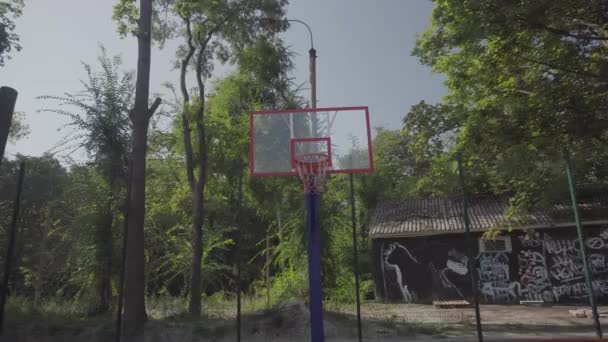de bal vliegt in de basketbalring - Video