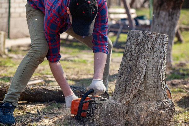 The worker cuts the stump with a chainsaw. Petrol chainsaw in male hands - 写真・画像