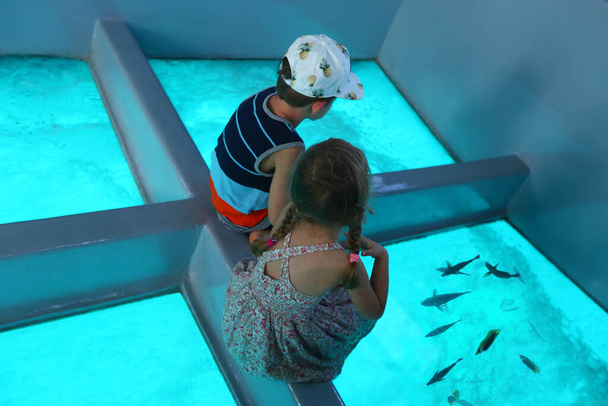 Niños admirando el inframundo del Mar Rojo a través del fondo de cristal del barco
 - Foto, Imagen