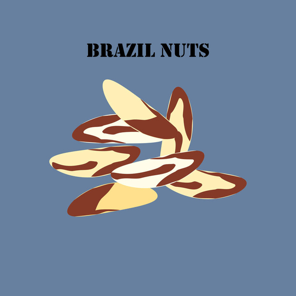 Бразильские орехи на синем фоне. Векторная иллюстрация
 - Вектор,изображение
