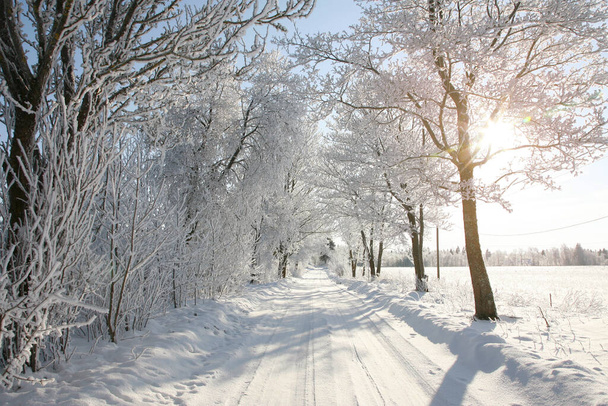Herrlicher, schneebedeckter Winterpfad in der Landschaft, Sonne scheint durch die Bäume. Bäume mit Frost bedeckt. - Foto, Bild