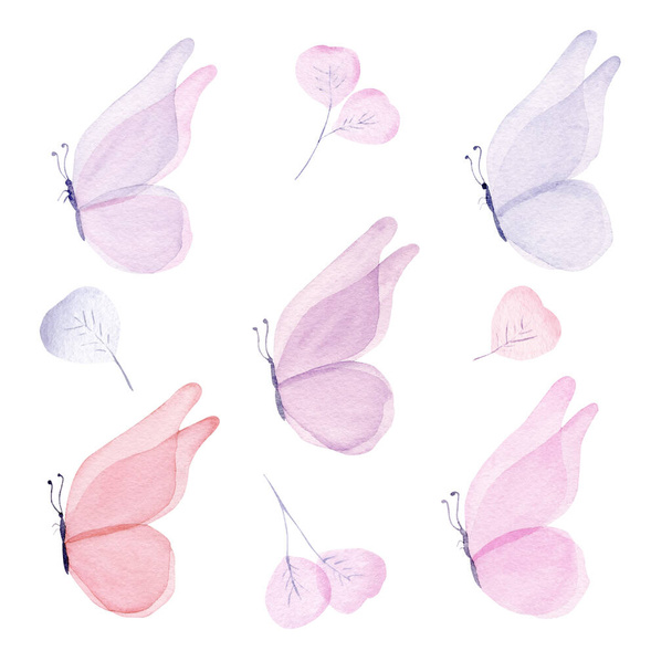 Watercolor butterfly set. Hand painted spring insect collection isolated on white background. - Photo, image