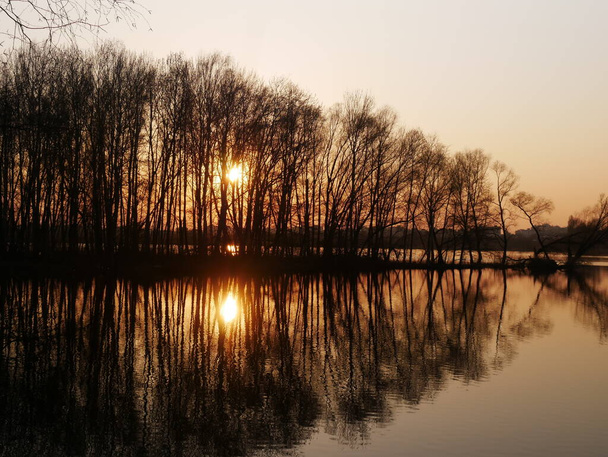 Gün batımında, ağaçların arka planında. Göldeki doğanın yansıması. Elmas Gölü Kiev, Ukrayna. - Fotoğraf, Görsel