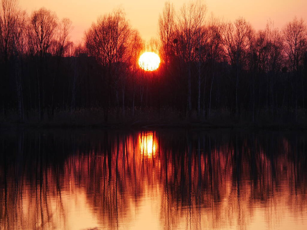 Gün batımında, ağaçların arka planında. Göldeki doğanın yansıması. Elmas Gölü Kiev, Ukrayna. - Fotoğraf, Görsel