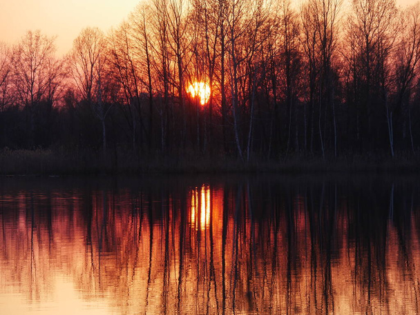 Lago al atardecer, sobre un fondo de árboles. Reflejo de la naturaleza en el lago. Lago Diamante Kiev, Ucrania
. - Foto, imagen