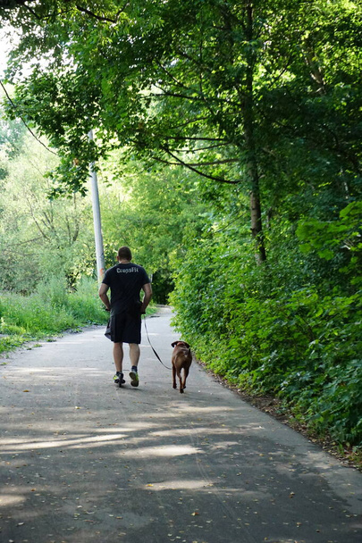 athletic man walking a dog in the park - Фото, зображення