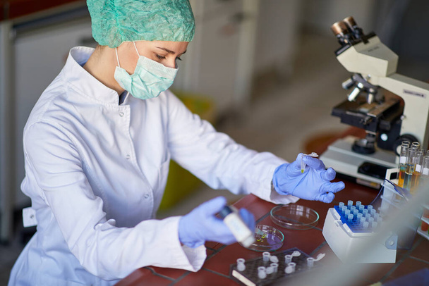 Γυναίκα επιστήμονας κάνει έρευνα στο εργαστήριο αναλύοντας ένα νέο ιό. έννοια του ιού του κόρωνα - Φωτογραφία, εικόνα