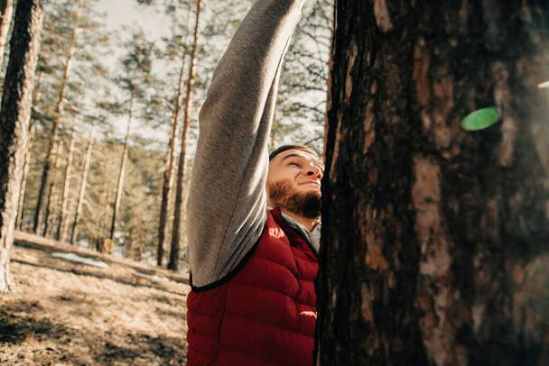 handsome bearded guy setting equipment on a pine in forest - 写真・画像