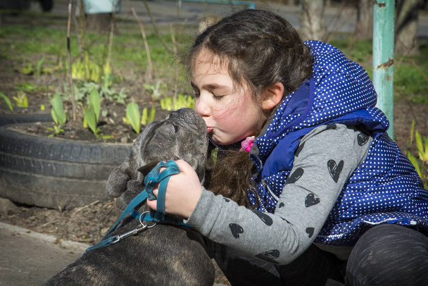 Keväällä, kirkkaana aurinkoisena päivänä, pieni hauska tyttö vilpittömästi suutelee ranskalaista bulldogia.. - Valokuva, kuva