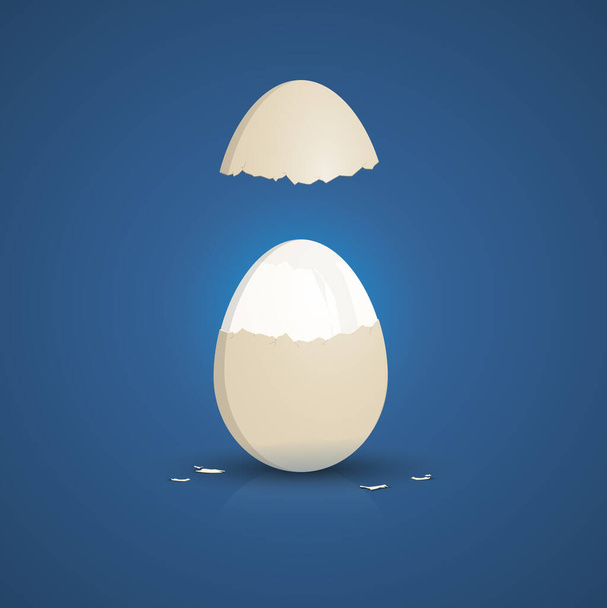 An illustration of a typical cooked white egg - Vetor, Imagem