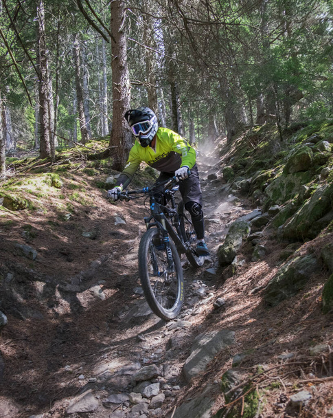 Mountainbike sul Roatbrunn Trail a Tarscher Alm in Vinschgau
 - Foto, immagini