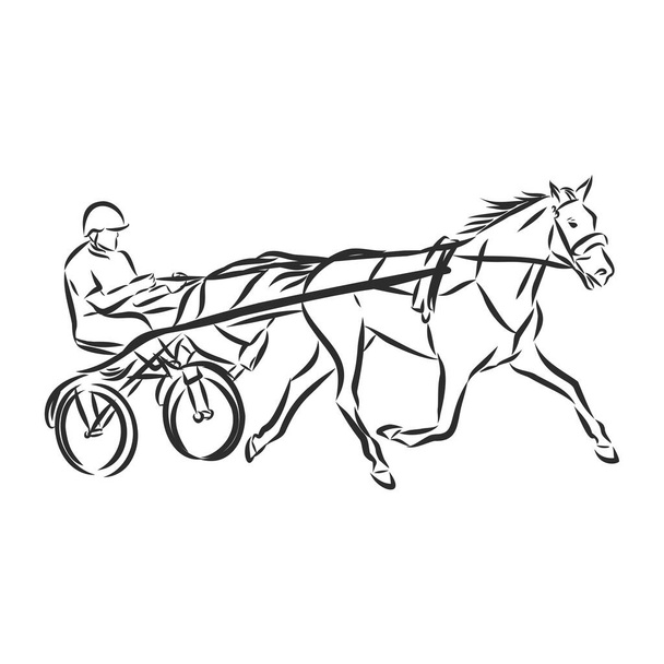 Ilustración vectorial de un caballo de carreras y jinete
 - Vector, imagen