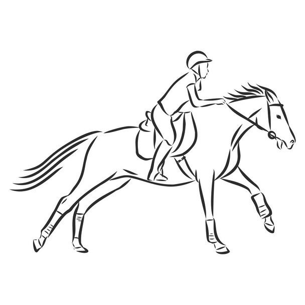 Εικονογράφηση διάνυσμα ενός αγωνιστικού αλόγου και αναβάτη - Διάνυσμα, εικόνα