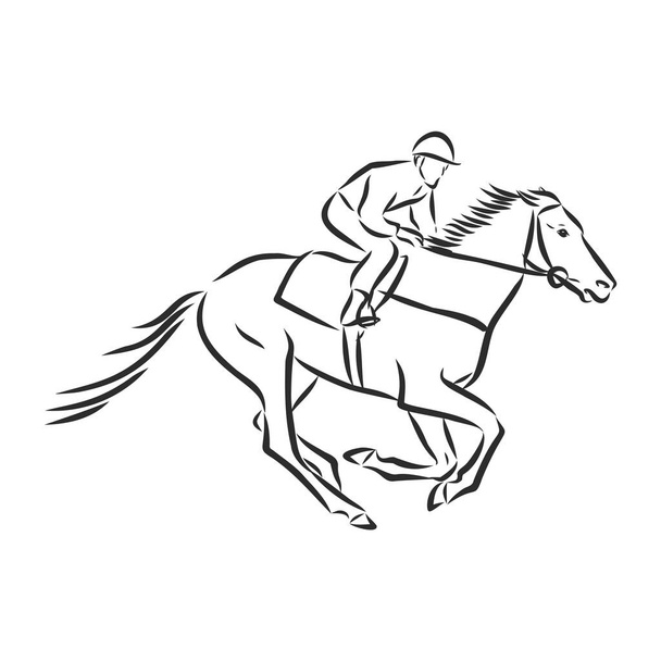 Vector illustration of a racing horse and jockey - Vector, Image