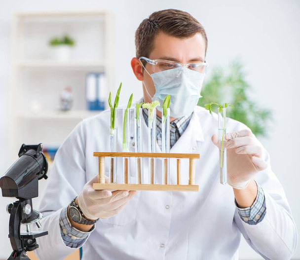 Férfi biokémikus dolgozik a laborban a növények - Fotó, kép