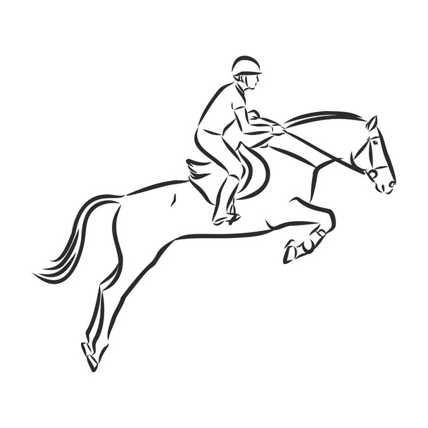 skoki koń, czarny biały obraz odizolowany na białym tle, wektor ilustracja - Wektor, obraz