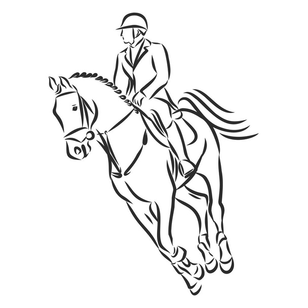 cheval sautant, photo noir blanc isolé sur fond blanc, illustration vectorielle
 - Vecteur, image