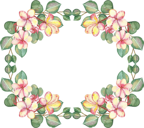 Watercolor hand painted nature floral greenery squared frame with pink and yellow plumeria flowers and green eucalyptus branches on the white background for invite and greeting cards - 写真・画像
