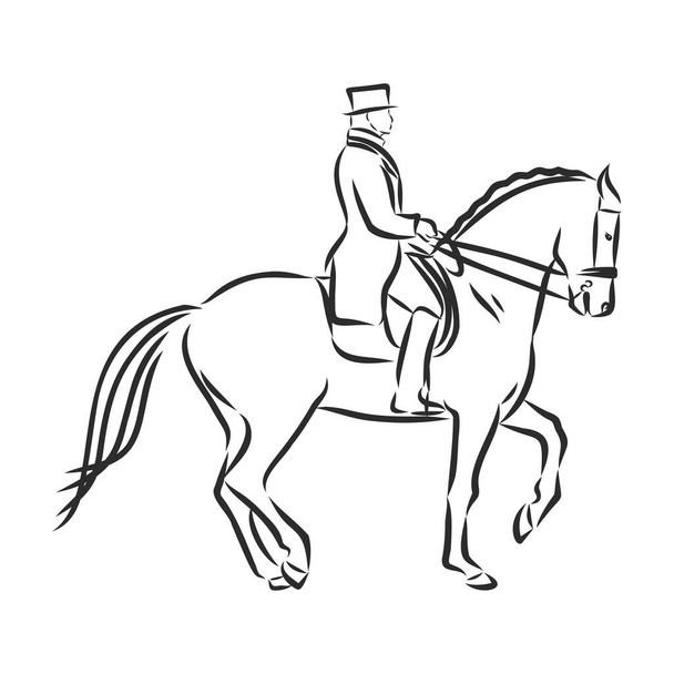 A sketch of a dressage rider on a horse executing the half pass. - Vector, Image