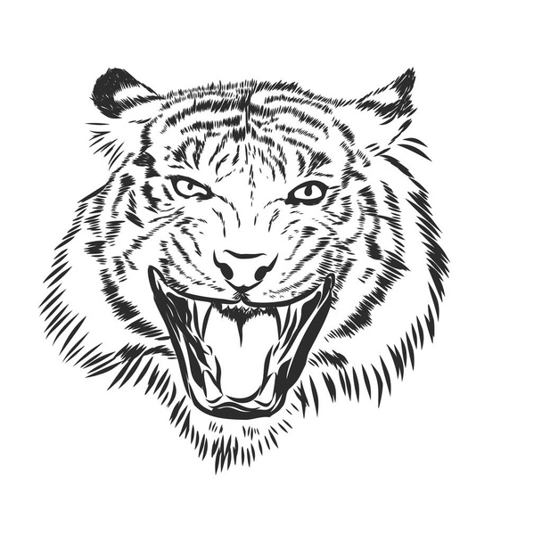 silueta de cabeza de tigre enojado, ilustración de boceto vectorial
 - Vector, Imagen